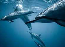 B体育官网下载APP：带你领略运动的极致体验